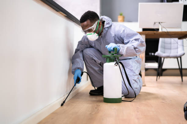 Best Real Estate Pest Inspections  in Monroeville, IN